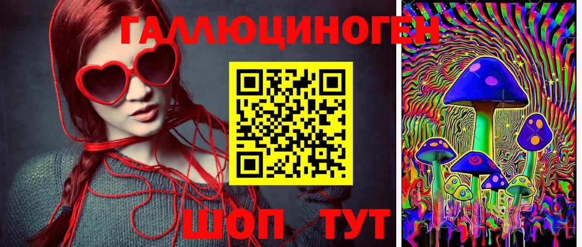 наркотики  Вход с VPN  Сланцы  Галлюциногенные грибы MAGIC MUSHROOMS  Псилоцибиновые грибы Psilocybine cubensis 