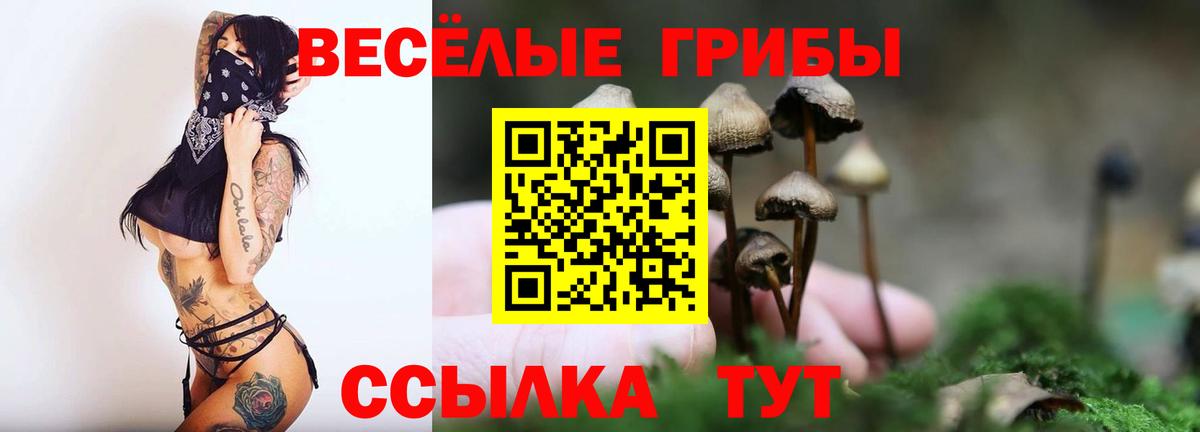 Галлюциногенные грибы прущие грибы Сланцы